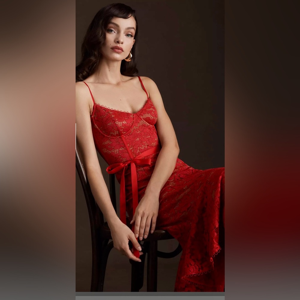 Anthropologie V. Chapman Naomi Stretch Lace Corset Dress